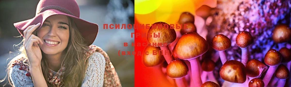 Альфа ПВП Верхний Тагил