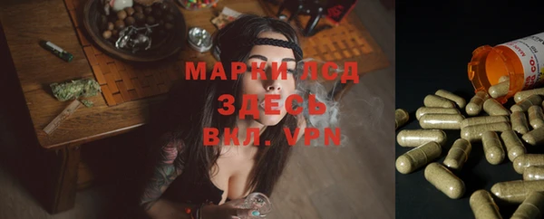 амф Верея