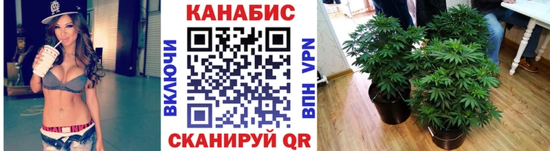 darknet состав  купить наркотик  Карпинск  Бошки марихуана White Widow 